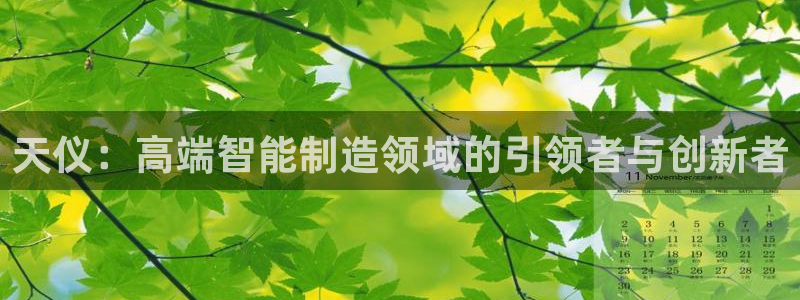 天辰娱乐文案:天仪:高端智能制造领域的引领者与创新者